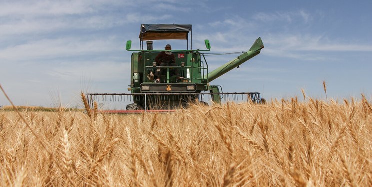 برآورد تولید ۱۰۰ هزار تن گندم در خرامه