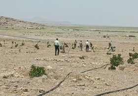 ۱۳ هزار مترمربع اراضی ملی محدوده بختگان مشهور به “پل تخت” شهرستان خرامه رفع تصرف شد.